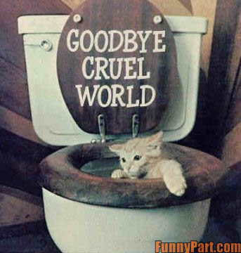  Funny Photos Online on Funny Goodbye By Martin