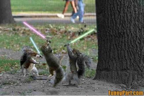 FunnyPart-com-jedi_squirrels.jpg