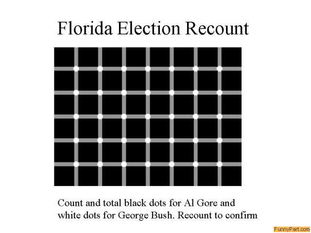 Florida Election Funny Picture